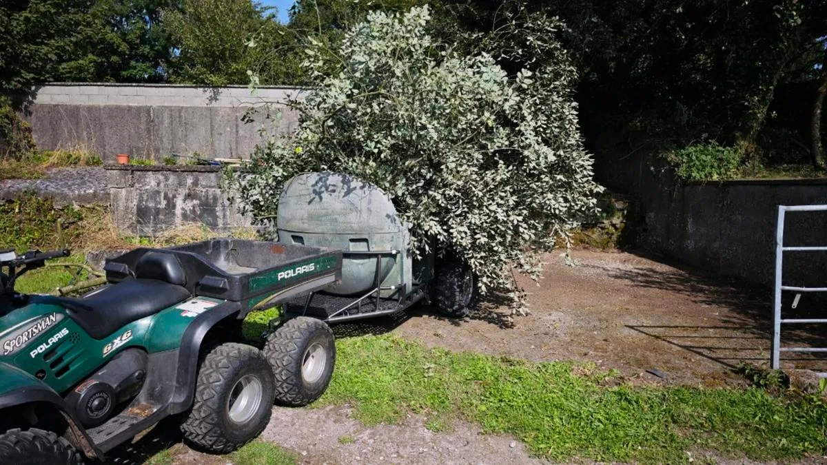 Atv trailer - Image 1