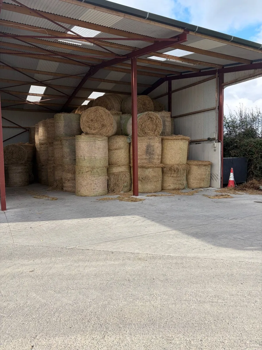 Hay