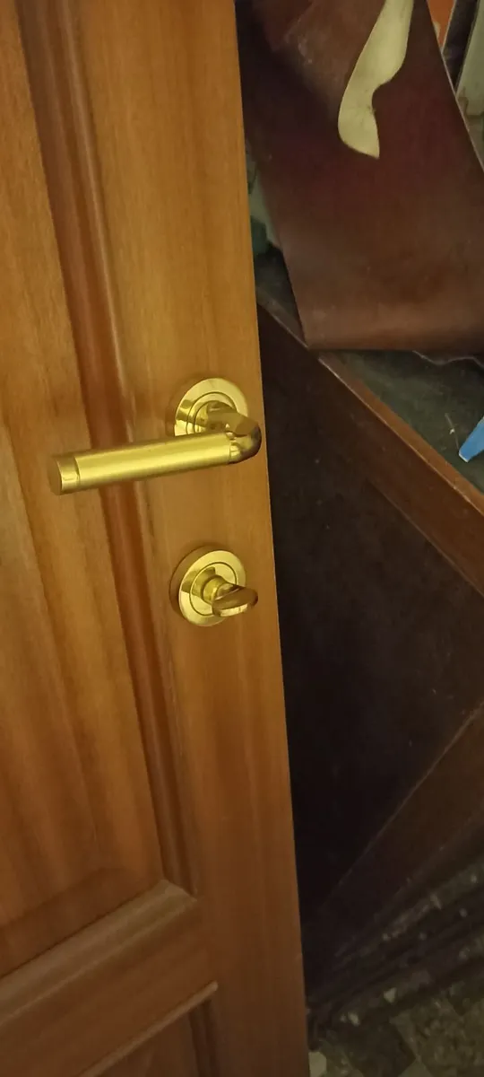 Two Panel Mahogany Veneer Bathroom Door - Image 2