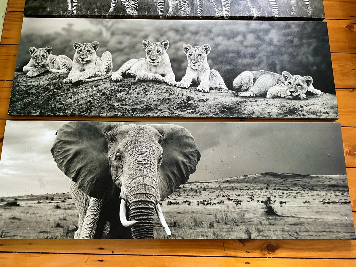 Black & white Wall Art Prints .Set of 3 - Image 2