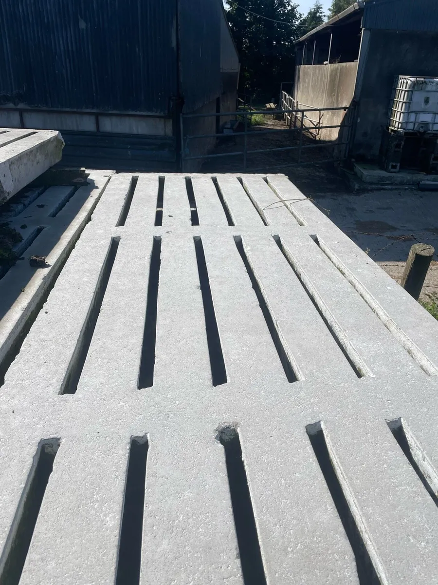 12 foot 6 Gang slats - Image 2