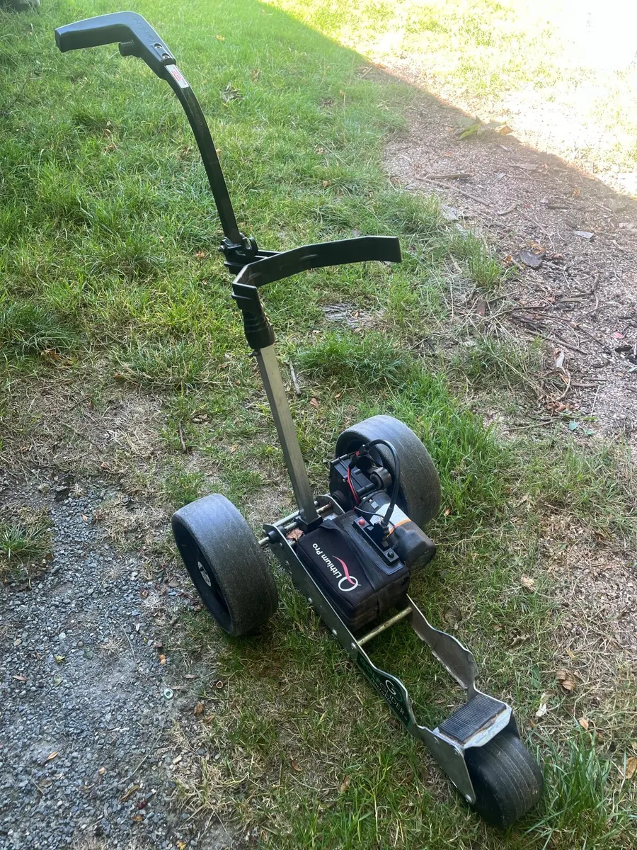 Golf Glider (microlite). - Image 4