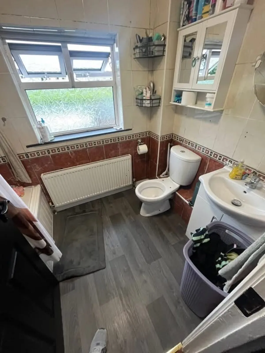 Handyman - Image 3
