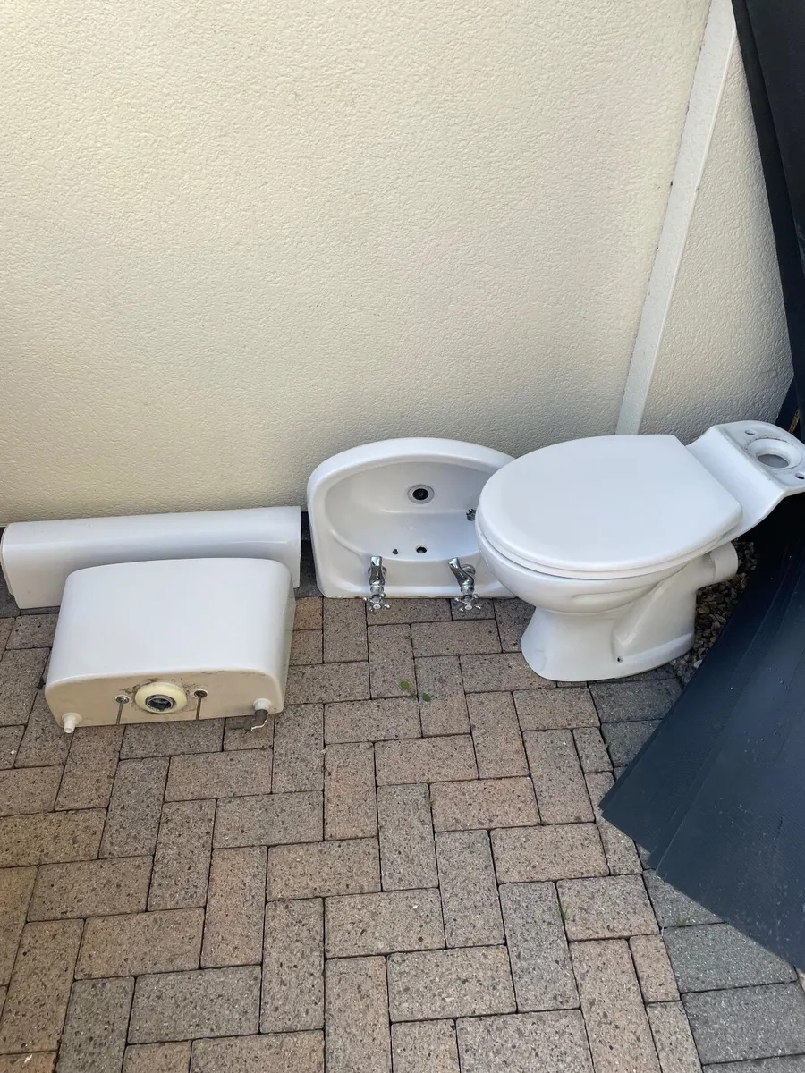 Bathroom sink and toilet