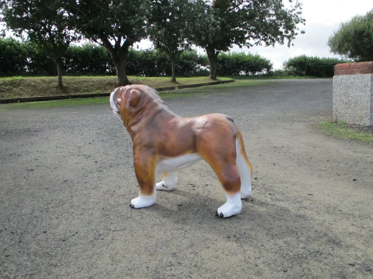Extra Large Bulldog Statue - Image 4