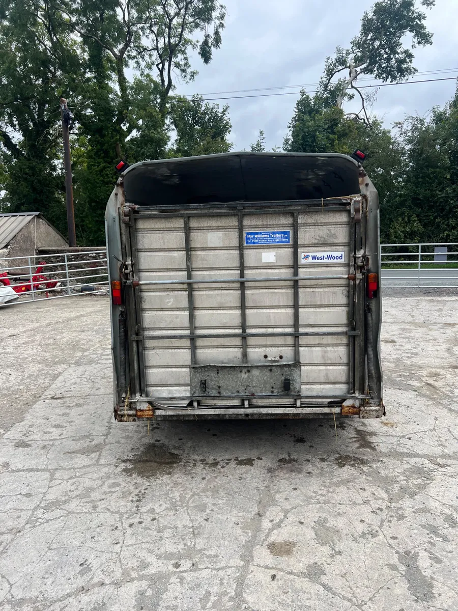 12x6 Ifor Williams Cattle Trailer - Image 3