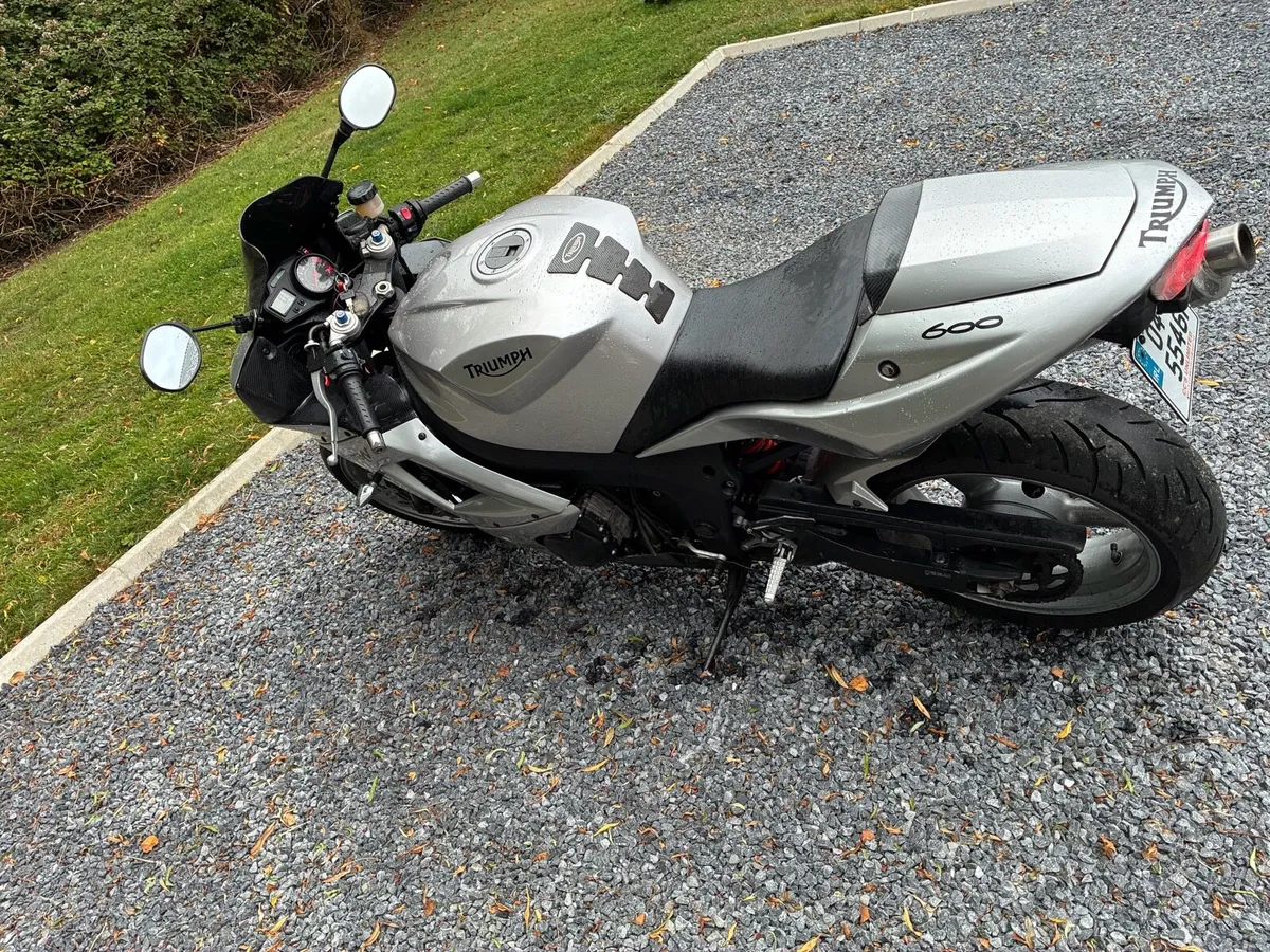 TRIUMPH 600 Datono T.T edition - Image 2