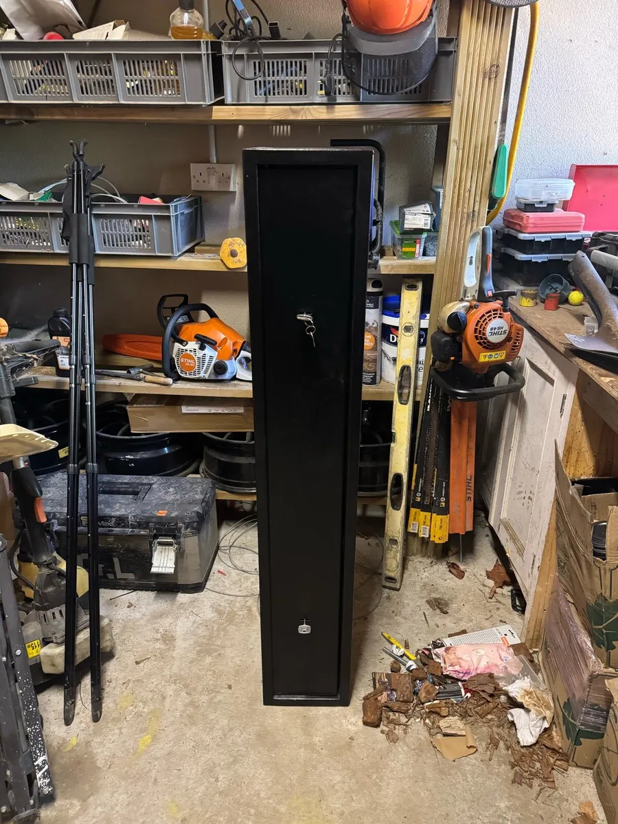 3 Gun Safe - Image 1