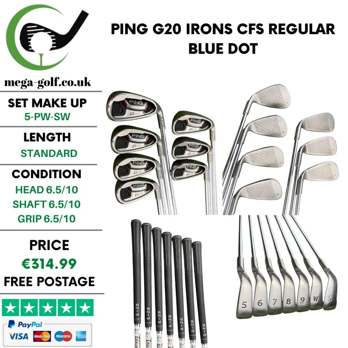 Ping G20 Irons / 5-Pw-Sw / CFS Regular / Blue Dot - Image 1
