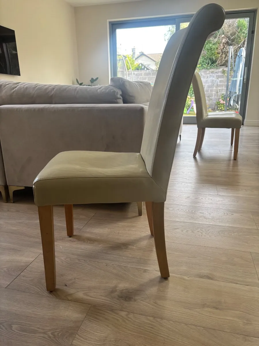 Set of 6 Dining Chairs – Great Condition (Douglas) - Image 1
