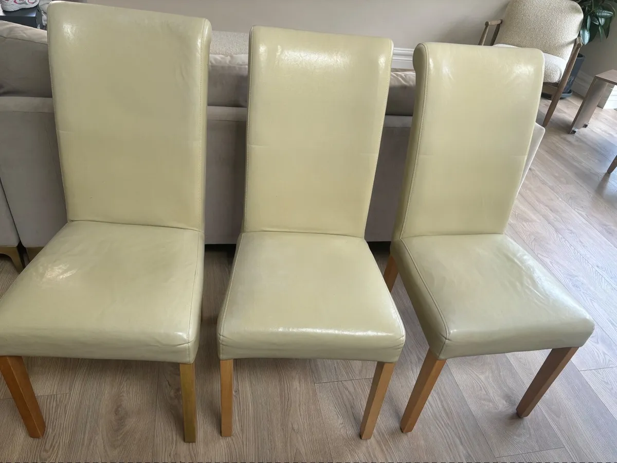 Set of 6 Dining Chairs – Great Condition (Douglas) - Image 4