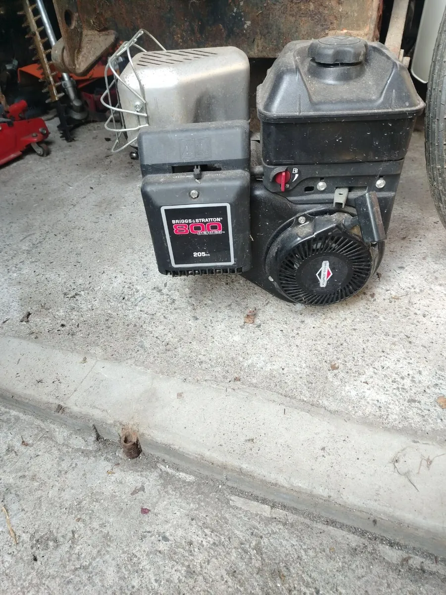 Briggs & Stratton Engine - Image 1