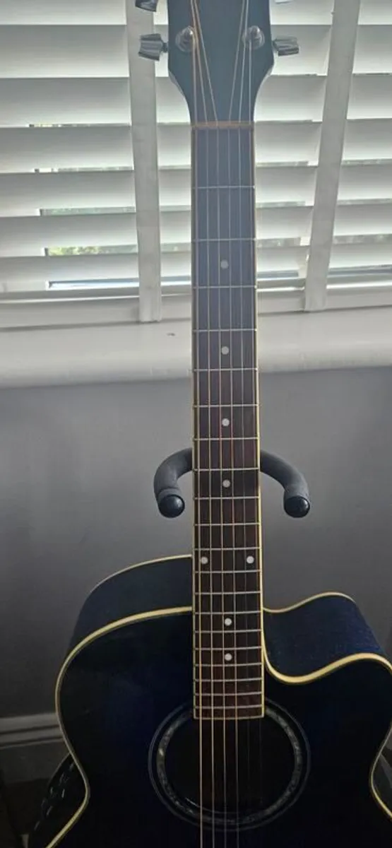 Ibanez AEL10E Acoustic Guitar - Image 4