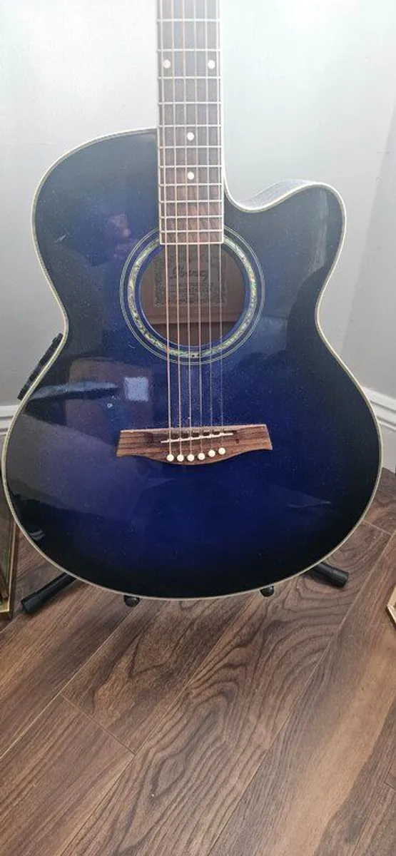 Ibanez AEL10E Acoustic Guitar - Image 1