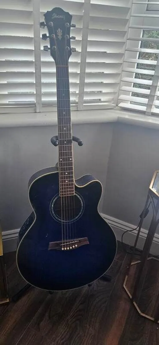 Ibanez AEL10E Acoustic Guitar - Image 2