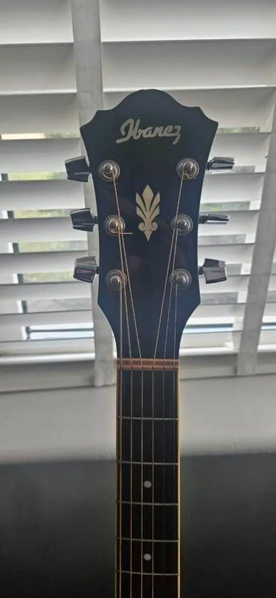 Ibanez AEL10E Acoustic Guitar - Image 3