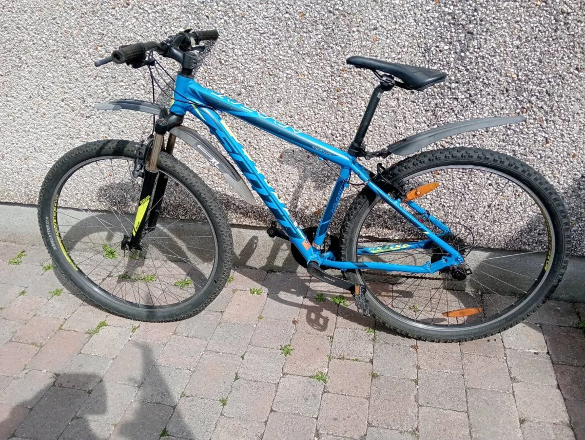 Adult bike - Image 1