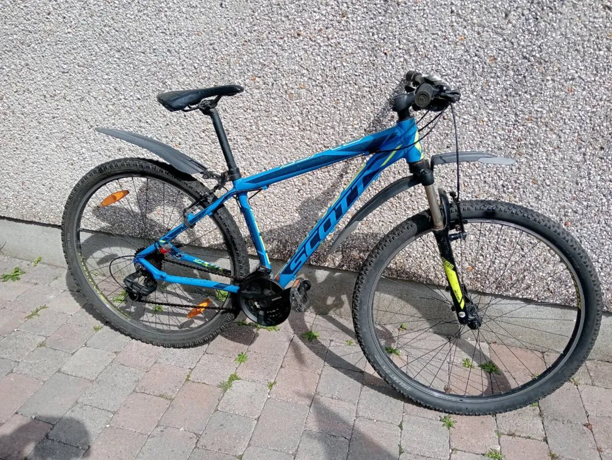 Adult bike - Image 2