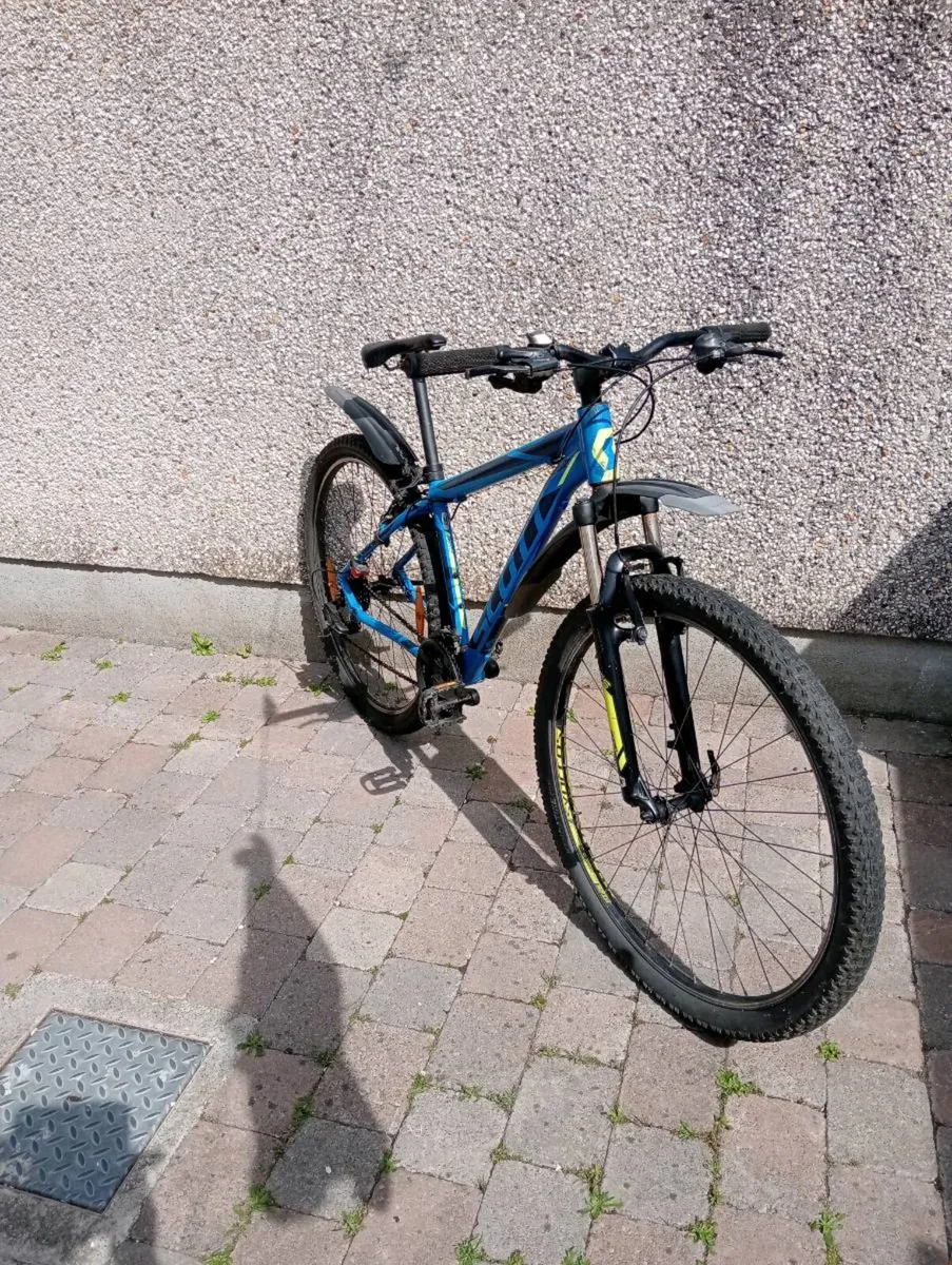 Adult bike - Image 3