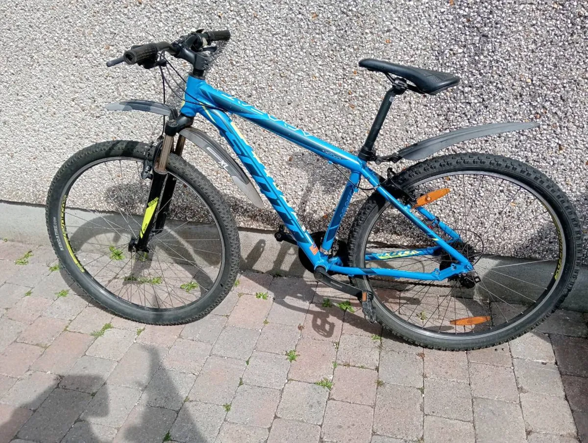 Adult bike - Image 4