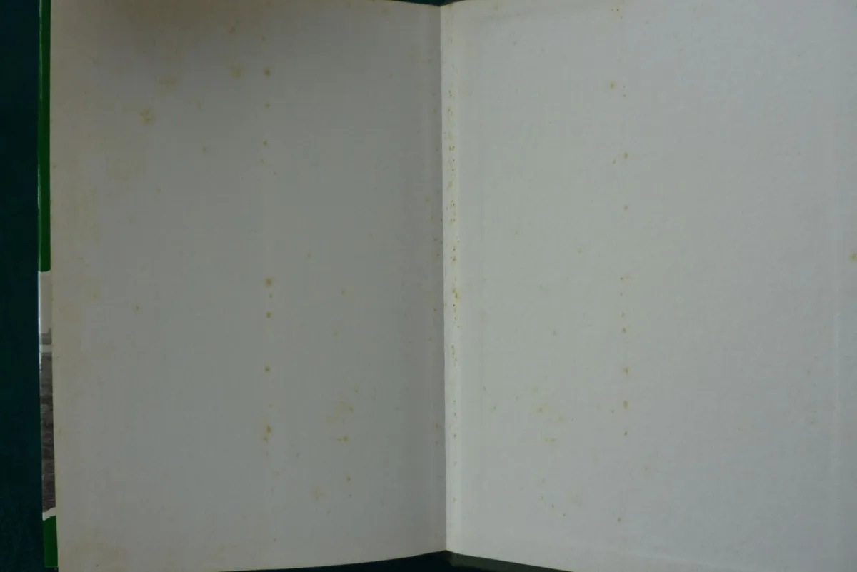 Ireland's unknow soldier (book) - Image 3