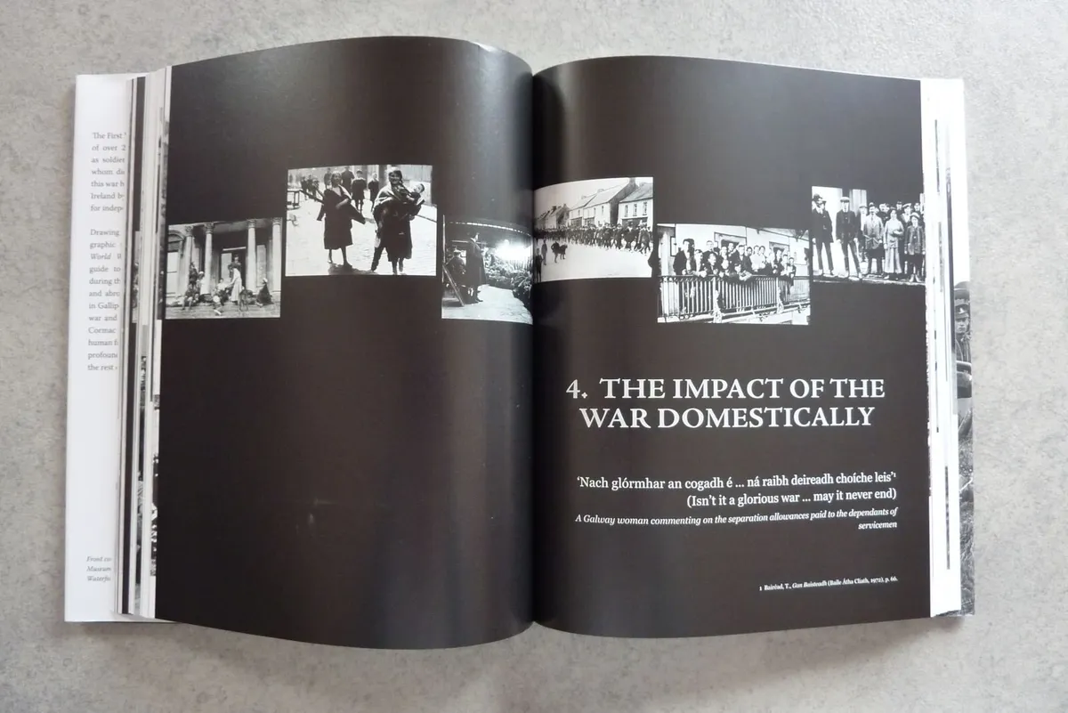 Ireland and the First World War (book) - Image 3