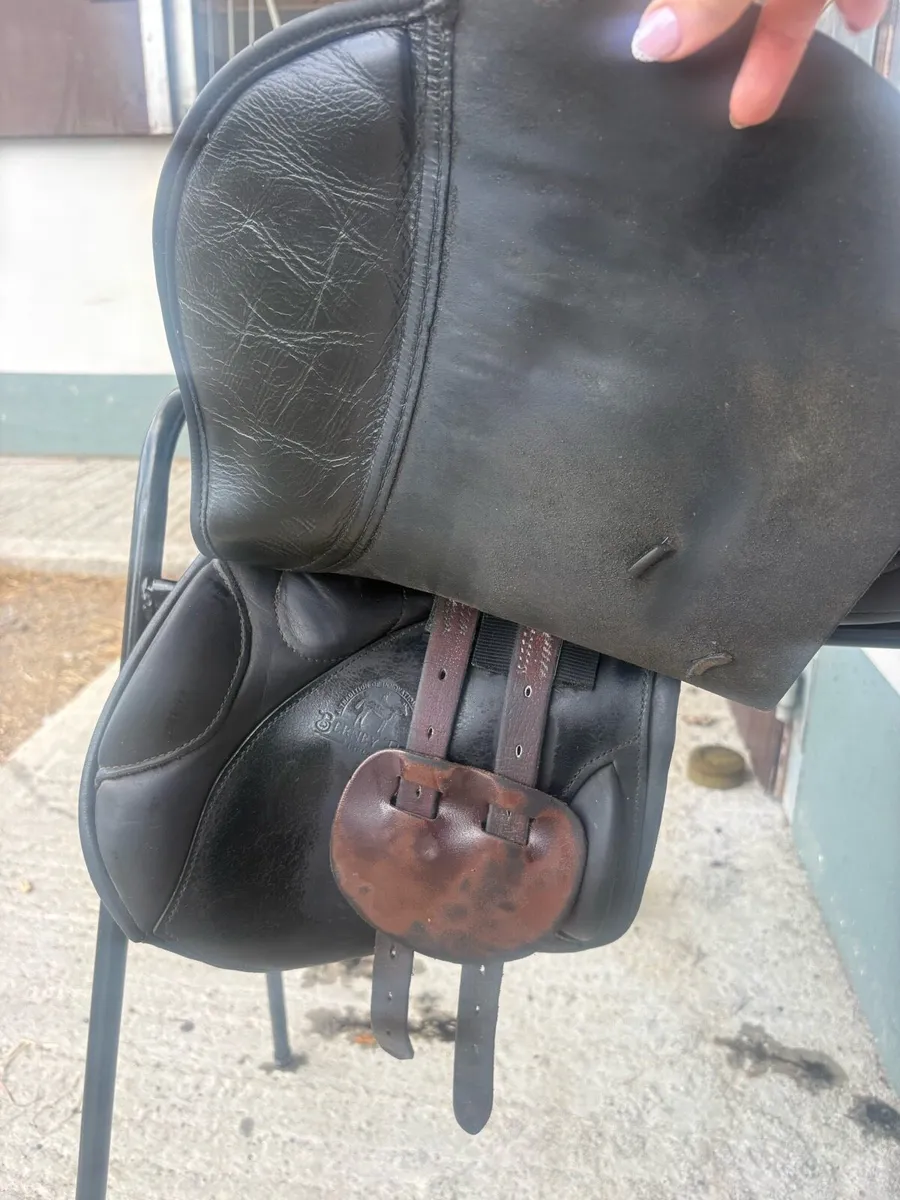 Berneys jumping saddle - Image 4