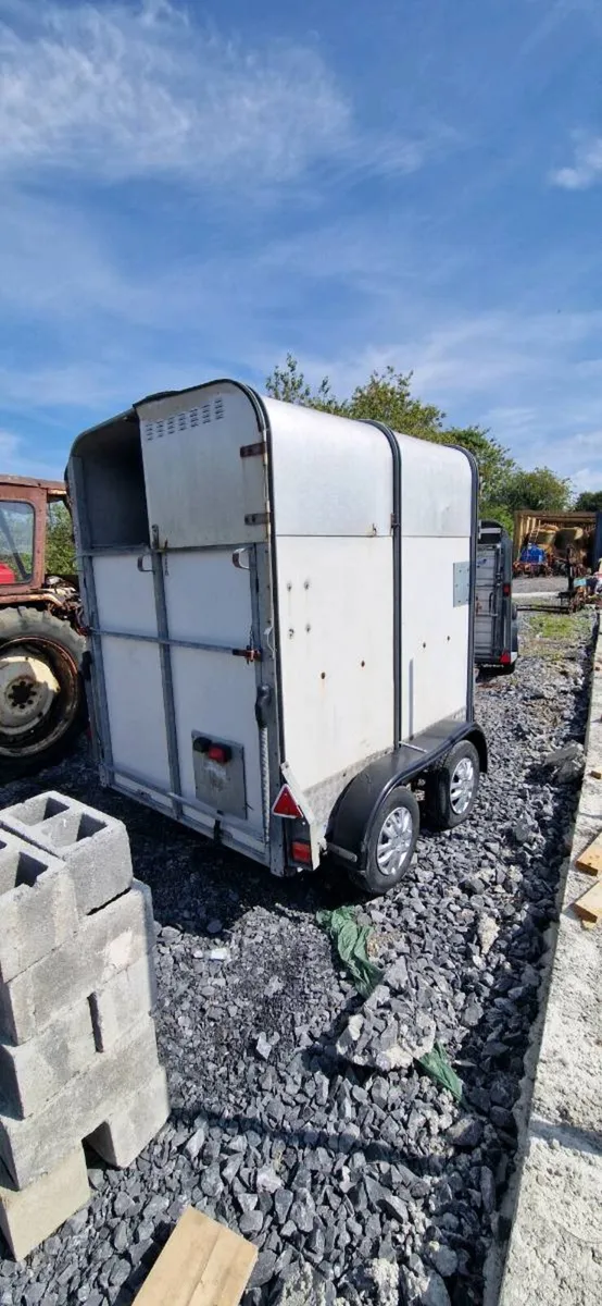 Ifor williams 505 horsebox - Image 3