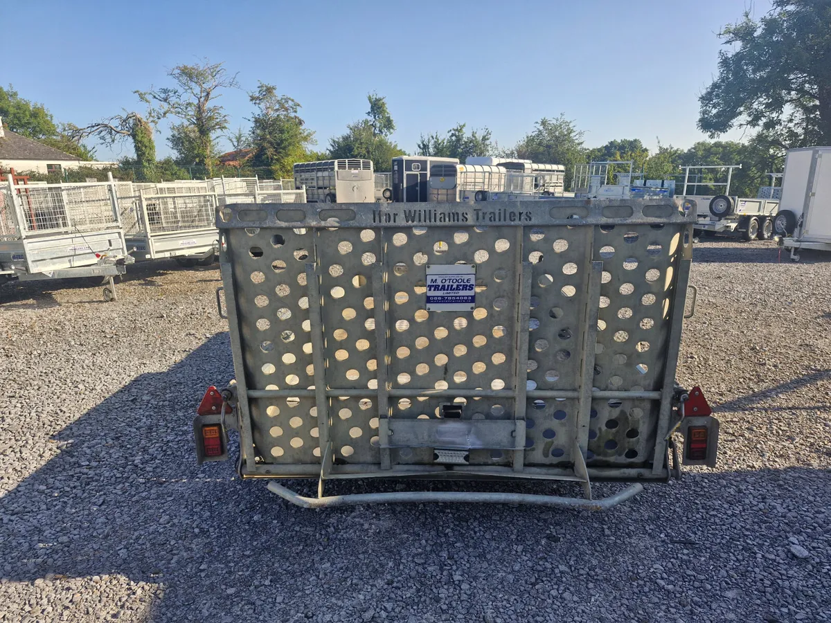 IFOR WILLIAMS  12' x 6'  PLANT TRAILER - Image 3