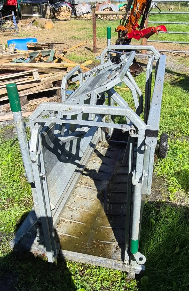 Condon roll over crate - Image 2