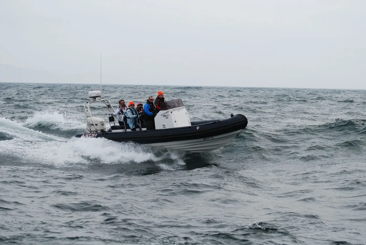 RIB - Image 2