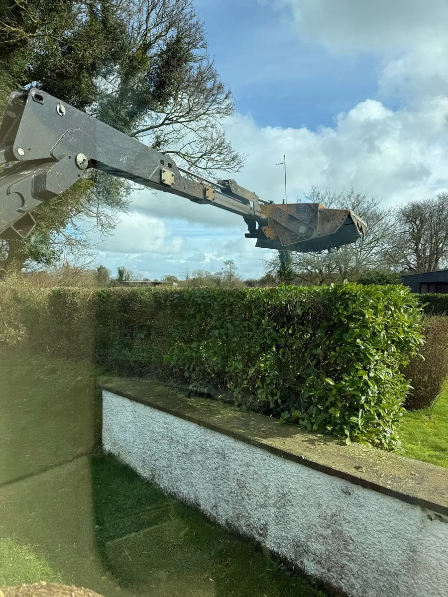 Hedgecutting - Image 3