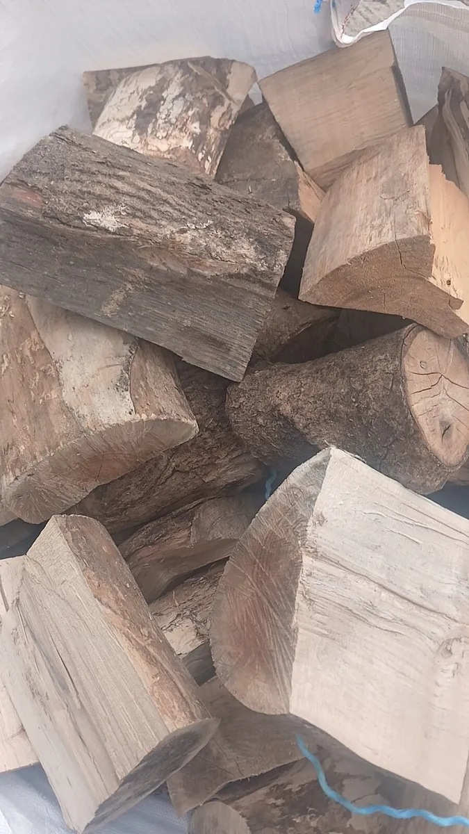 Firewood for sale - Image 2