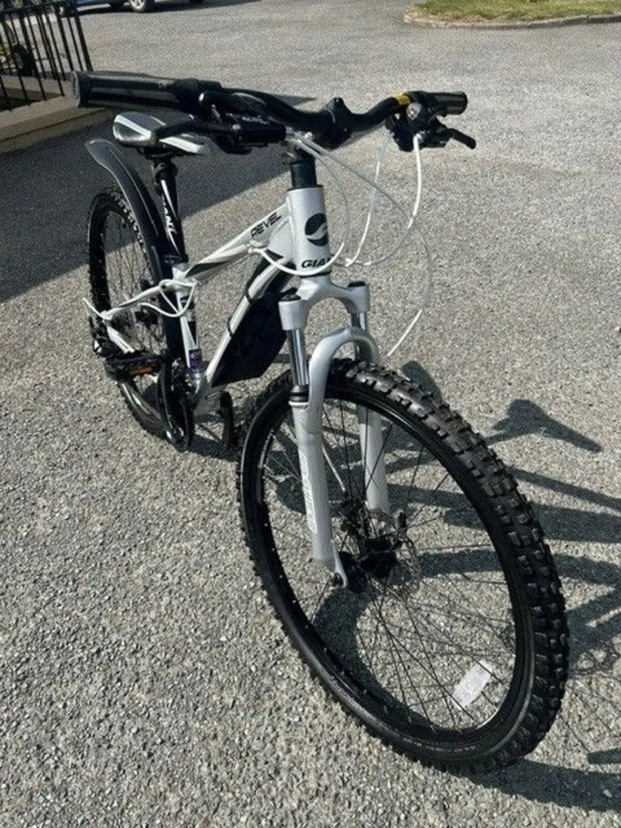 Mountain Bikes - Image 1