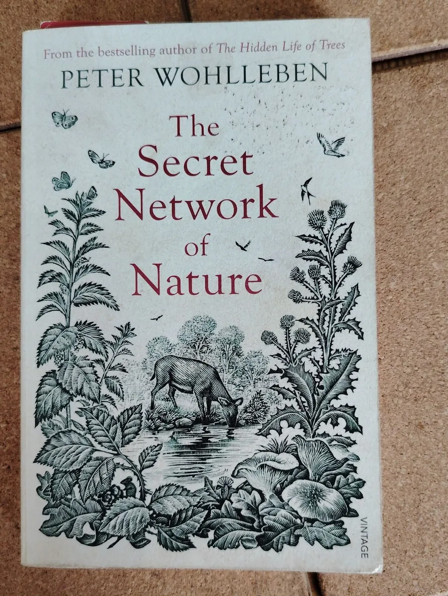 The Secret Network of Nature by Peter Wohlleben - Image 1