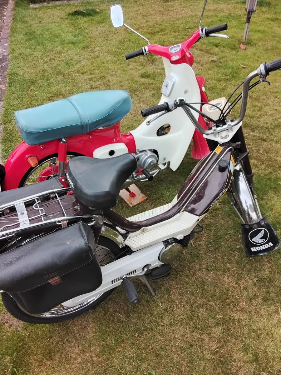 Honda Camino 1979 - Image 1