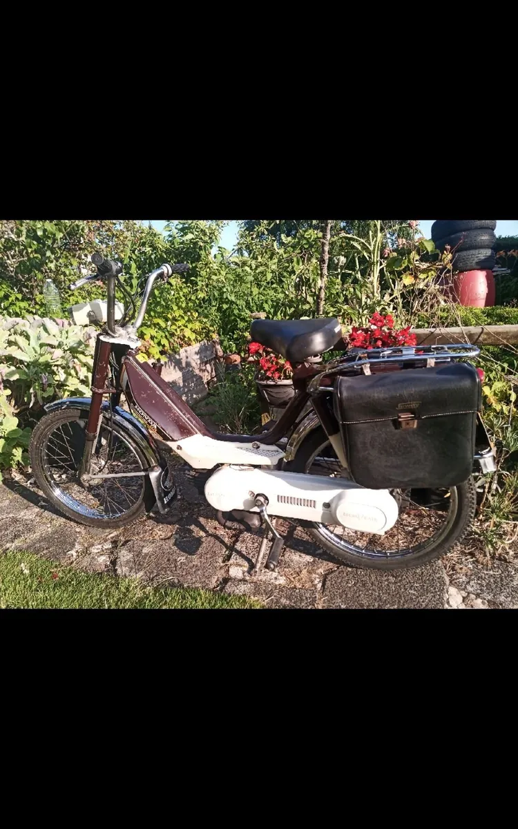 Honda Camino 1979 - Image 3