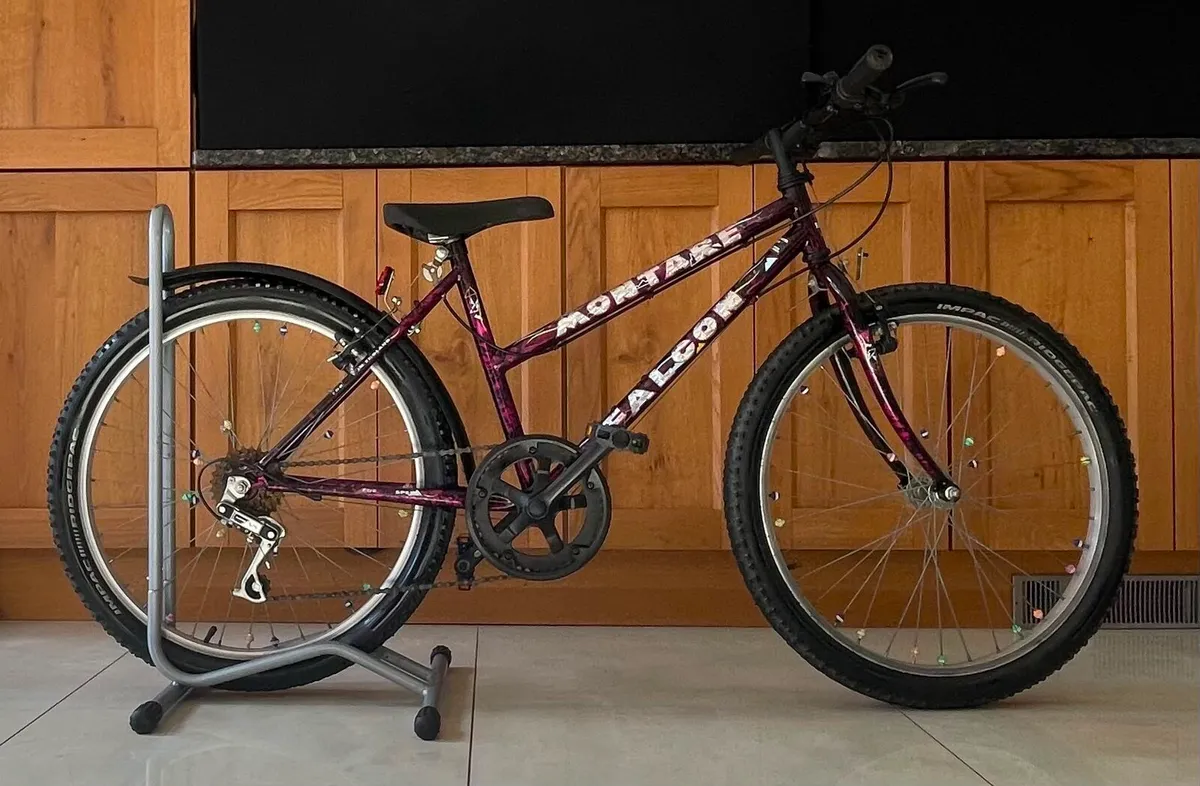 Bicycle 24inch FULLY SERVICED - Image 1