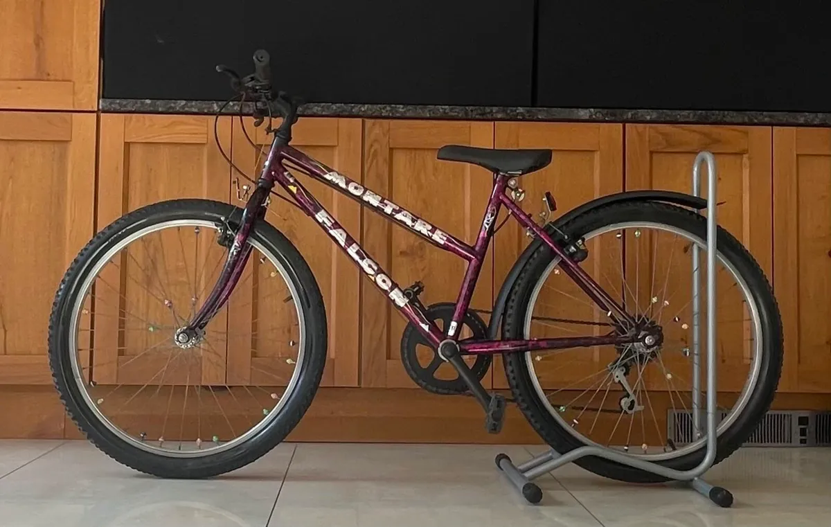 Bicycle 24inch FULLY SERVICED - Image 2