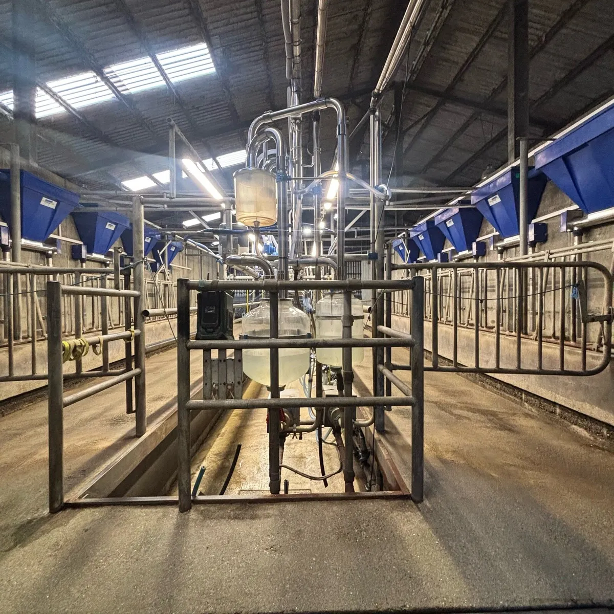 🔵10 Unit Dairymaster Parlour🔵 - Image 1