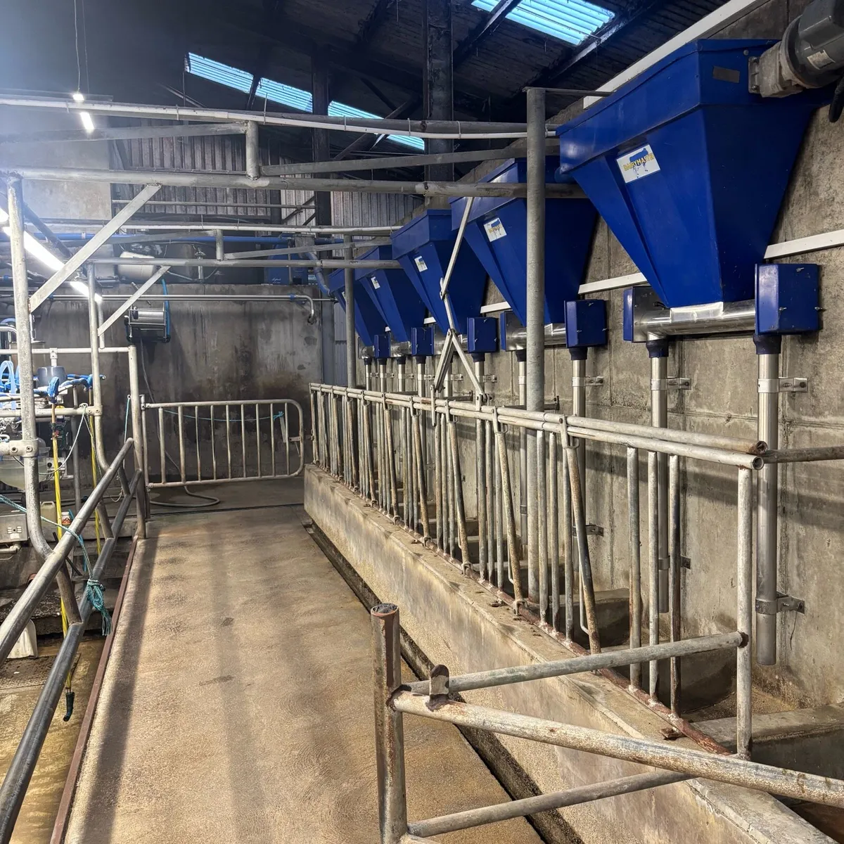 🔵10 Unit Dairymaster Parlour🔵 - Image 2
