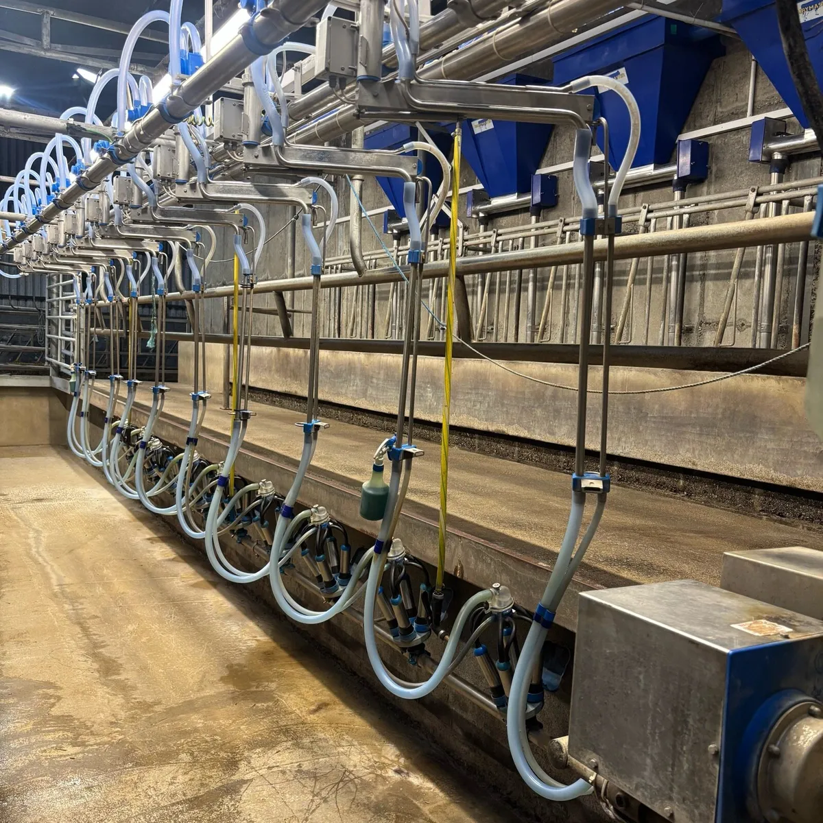 🔵10 Unit Dairymaster Parlour🔵 - Image 3