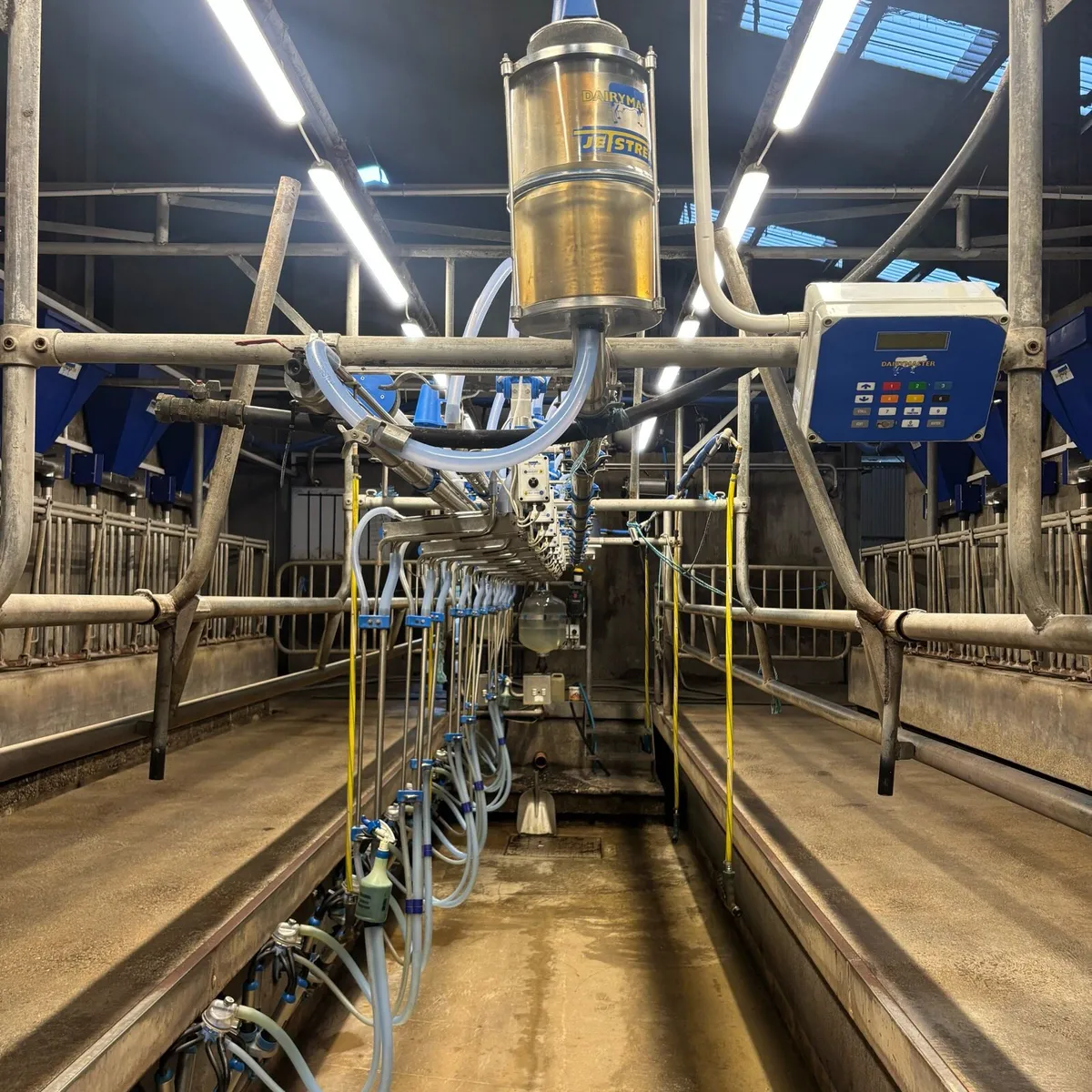 🔵10 Unit Dairymaster Parlour🔵 - Image 4