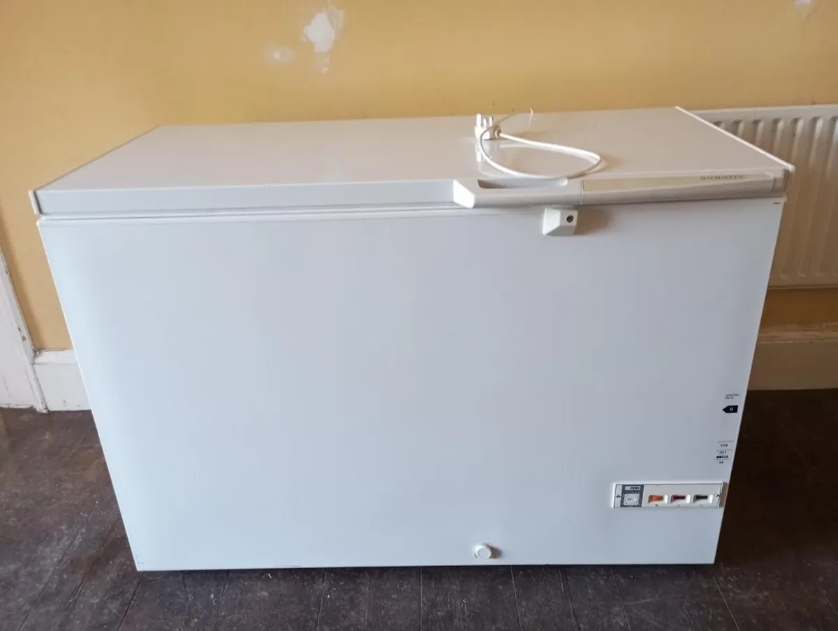 Chest Deep Freeze - Image 1