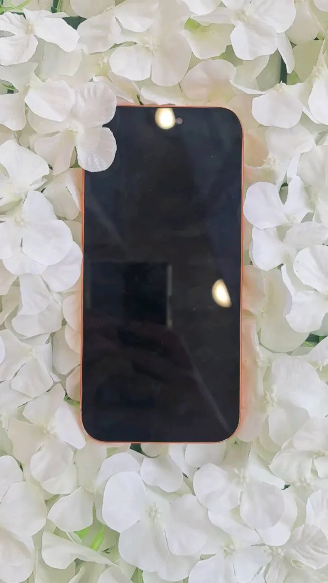 IPHONE 17 PRO MAX 256GB EXCELLENT 1 Year Warranty - Image 2