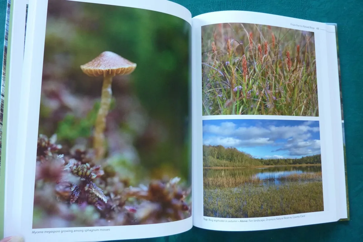 Ten thousand years deep (book) - Image 2