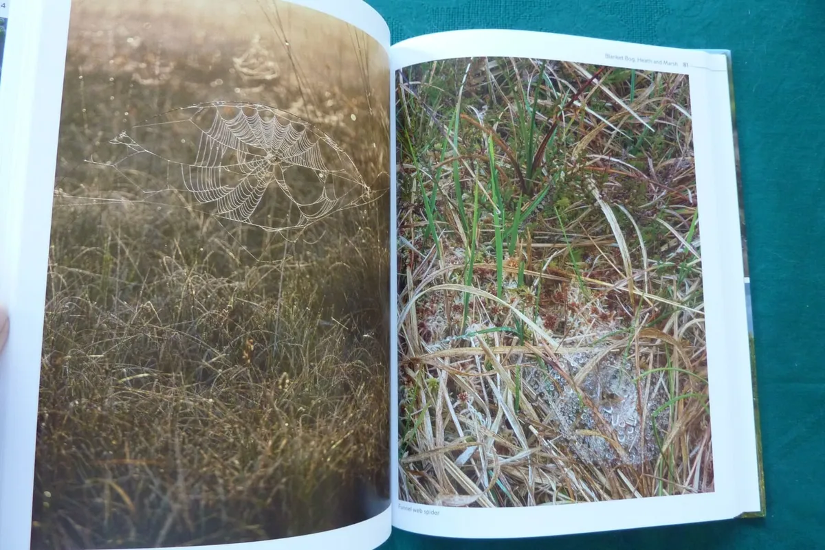 Ten thousand years deep (book) - Image 3