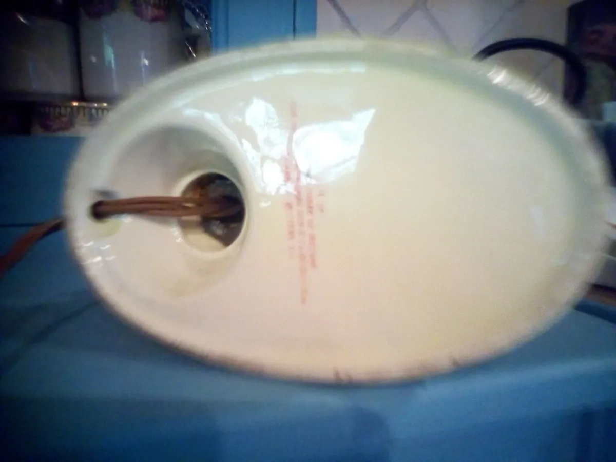 Old guinness tucan lamp original made by arklow po - Image 3