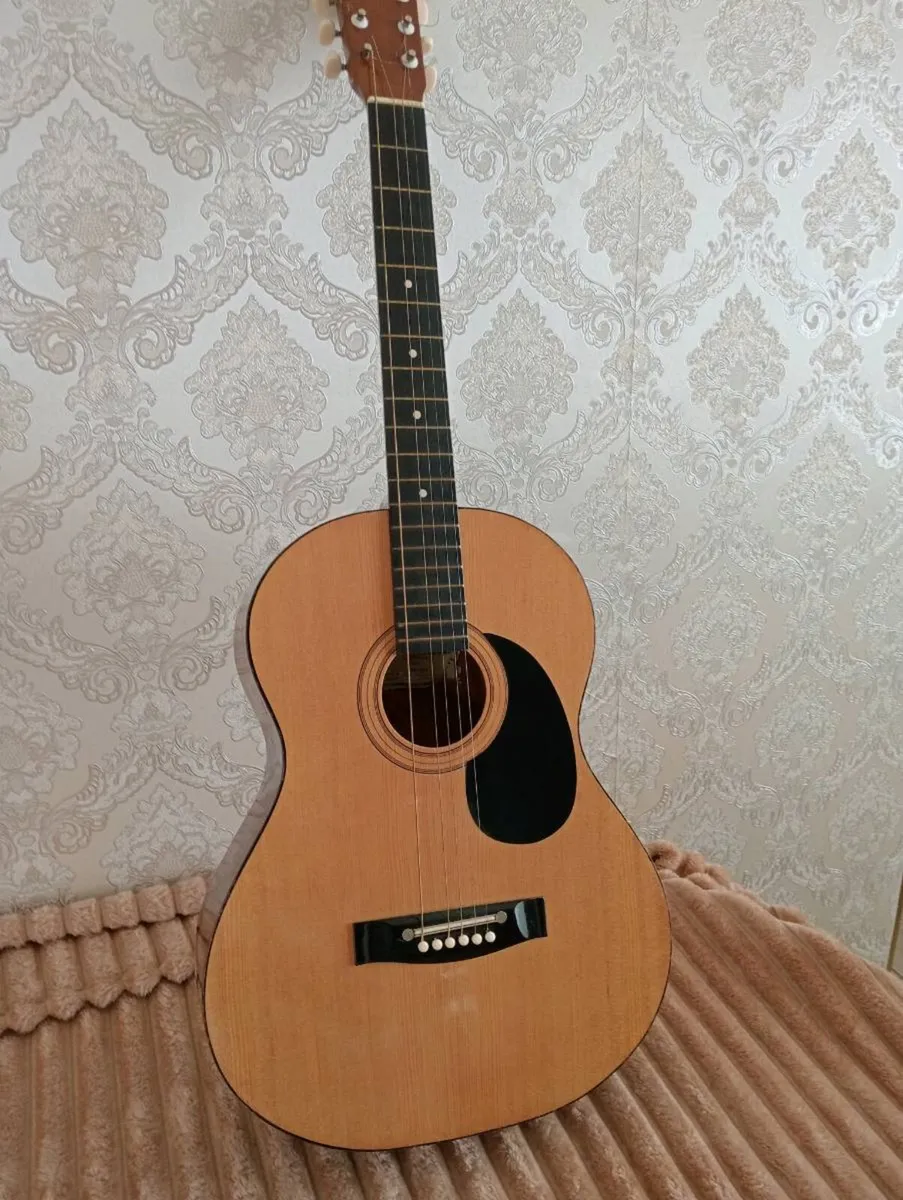Hohner guitar - Image 1