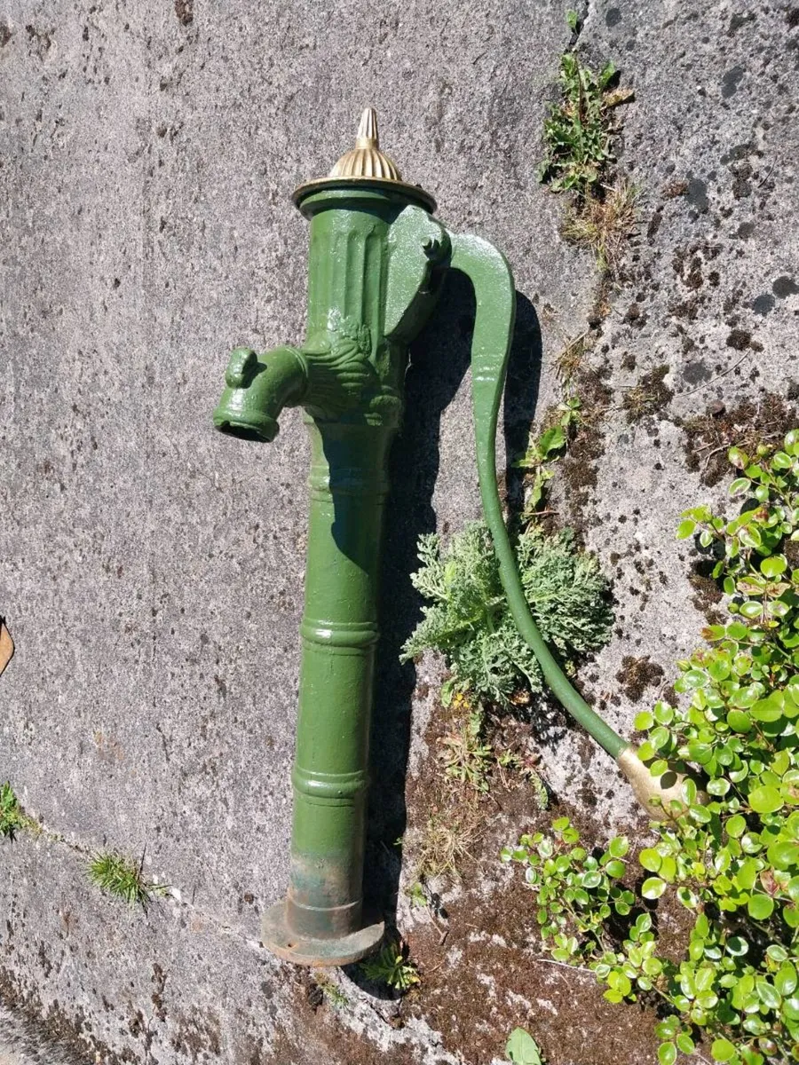 Victorian Water Pump Original - Image 4